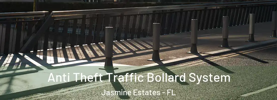  Anti Theft Traffic Bollard System Jasmine Estates - FL