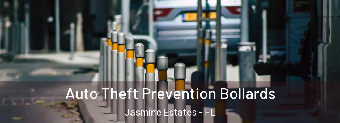  Auto Theft Prevention Bollards Jasmine Estates - FL