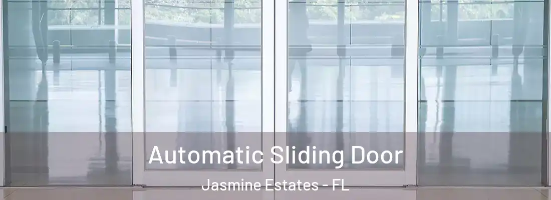  Automatic Sliding Door Jasmine Estates - FL