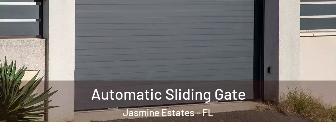  Automatic Sliding Gate Jasmine Estates - FL