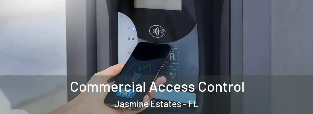  Commercial Access Control Jasmine Estates - FL