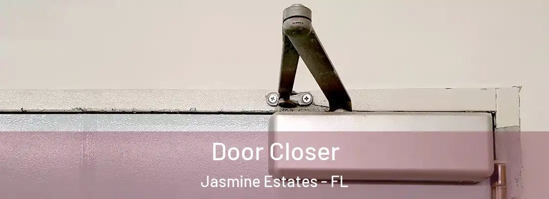  Door Closer Jasmine Estates - FL
