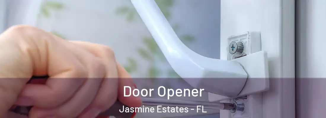  Door Opener Jasmine Estates - FL