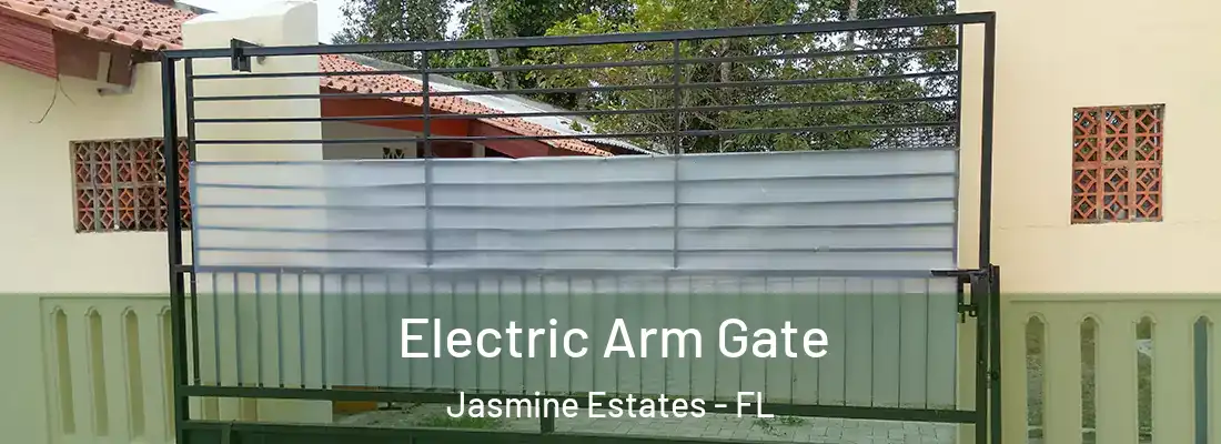  Electric Arm Gate Jasmine Estates - FL