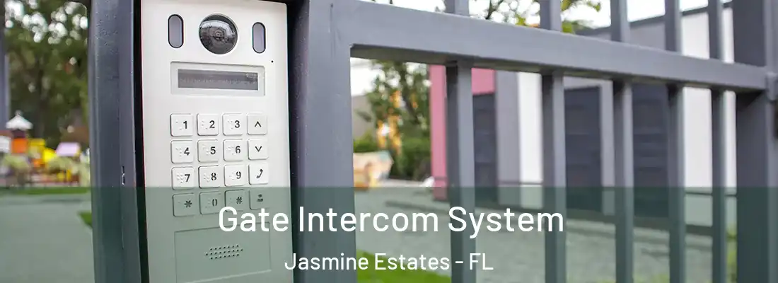  Gate Intercom System Jasmine Estates - FL
