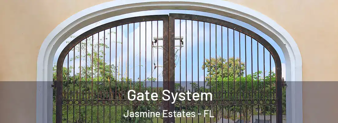  Gate System Jasmine Estates - FL