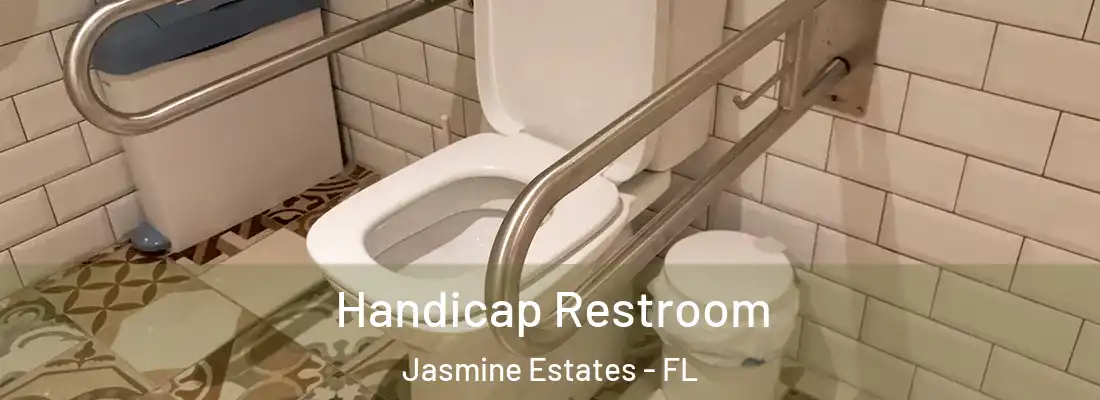  Handicap Restroom Jasmine Estates - FL