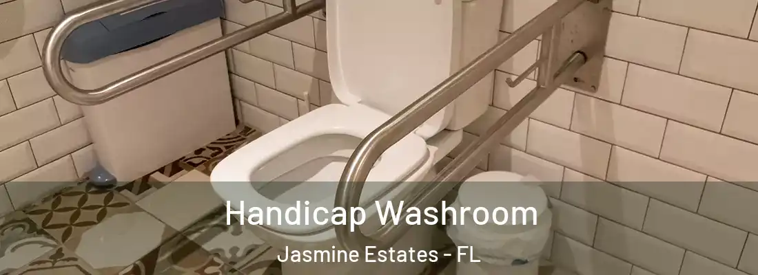  Handicap Washroom Jasmine Estates - FL