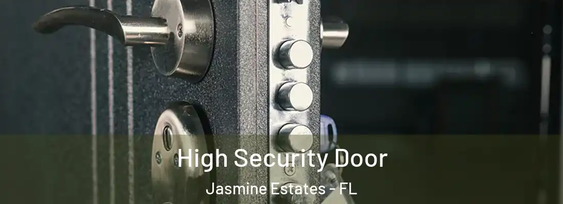  High Security Door Jasmine Estates - FL