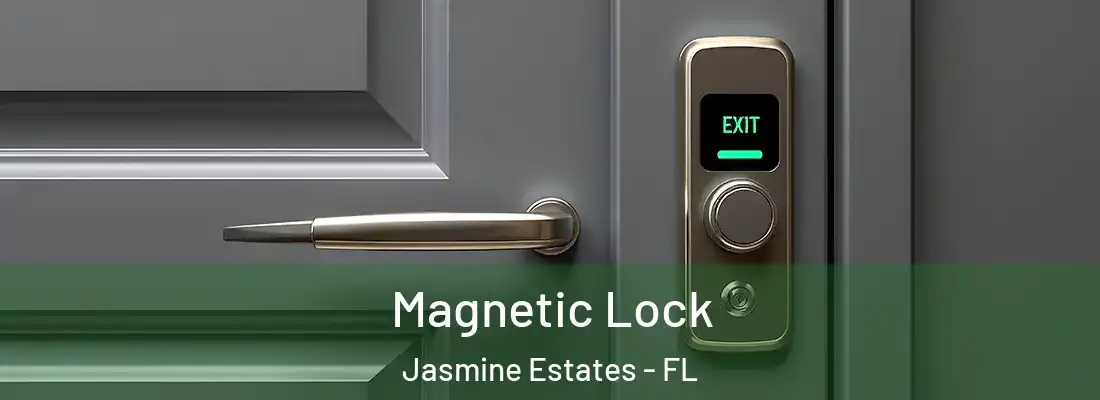  Magnetic Lock Jasmine Estates - FL
