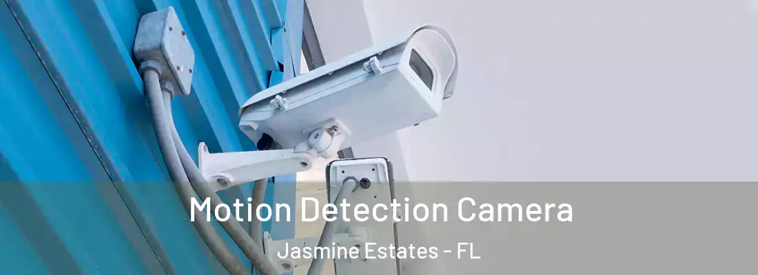  Motion Detection Camera Jasmine Estates - FL