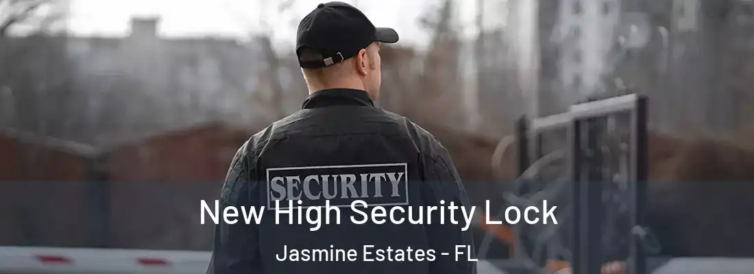  New High Security Lock Jasmine Estates - FL