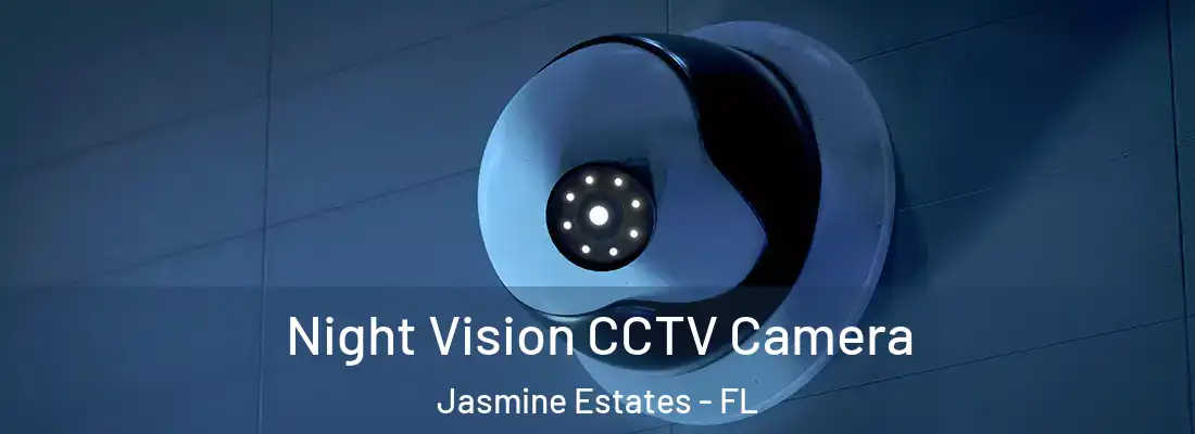  Night Vision CCTV Camera Jasmine Estates - FL